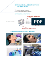 Tipos de Pruebas para Diagnostico de SARS 2-COVID 19.