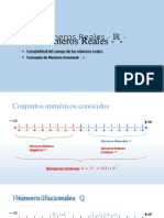 Números Reales - R