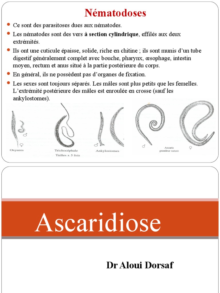 Ascaridiose | PDF | Spécialités médicales | Maladies et troubles