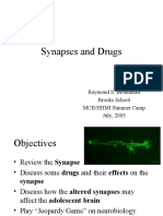 Synapses and Drugs: Raymond S. Broadhead Brooks School MCB/HHMI Summer Camp July, 2005