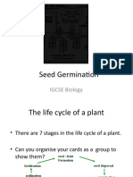 Seed Germination: IGCSE Biology