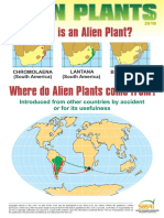 What Is An Alien Plant?