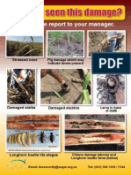 Longhorn Beetle Damage Symptoms PDF