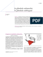 Cirugia Glandula Submaxilar y Sublingual PDF