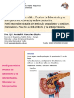 T-12-Perfil Pancreático y Perfil Muscular-Prof. Anabel González