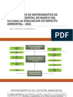 Estudios de Impacto Ambiental en Marco Del SEIA - Ing. Cinthya Lidia Velasquez