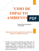 5. Estudios de Impacto Ambiental (EIA d)_Rosa Evelyn Mendoza (1).pptx