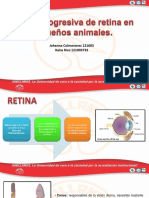 Atrofia Progresiva de Retina en Pequeños Animales Kevin Bejarano