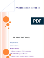 Job Roles in IT Industry