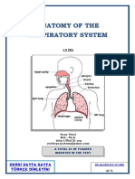 Anatomy of The Respiratory System: Dersi Sayfa Sayfa Türkçe Dinleyin!