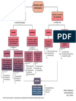 Mapa Metabolismo de M.O PDF