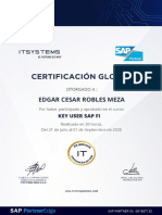 Modelo de Certificado Sap Int