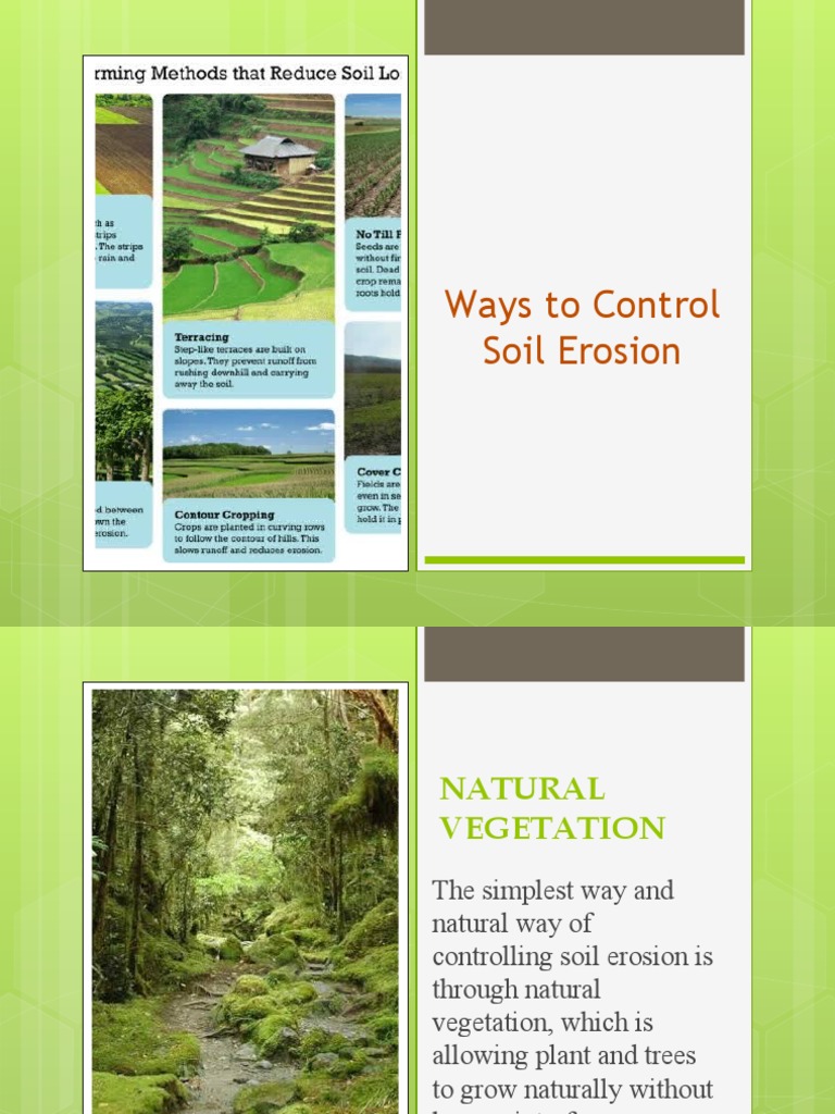 Methods to Control Soil Erosion | PDF | Crop Rotation | Plough