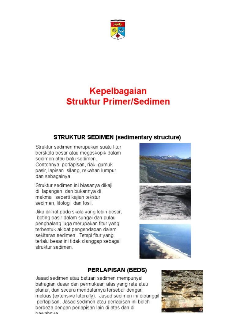 Kepelbagaian Primer | PDF