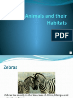 Animals and Their Habitats