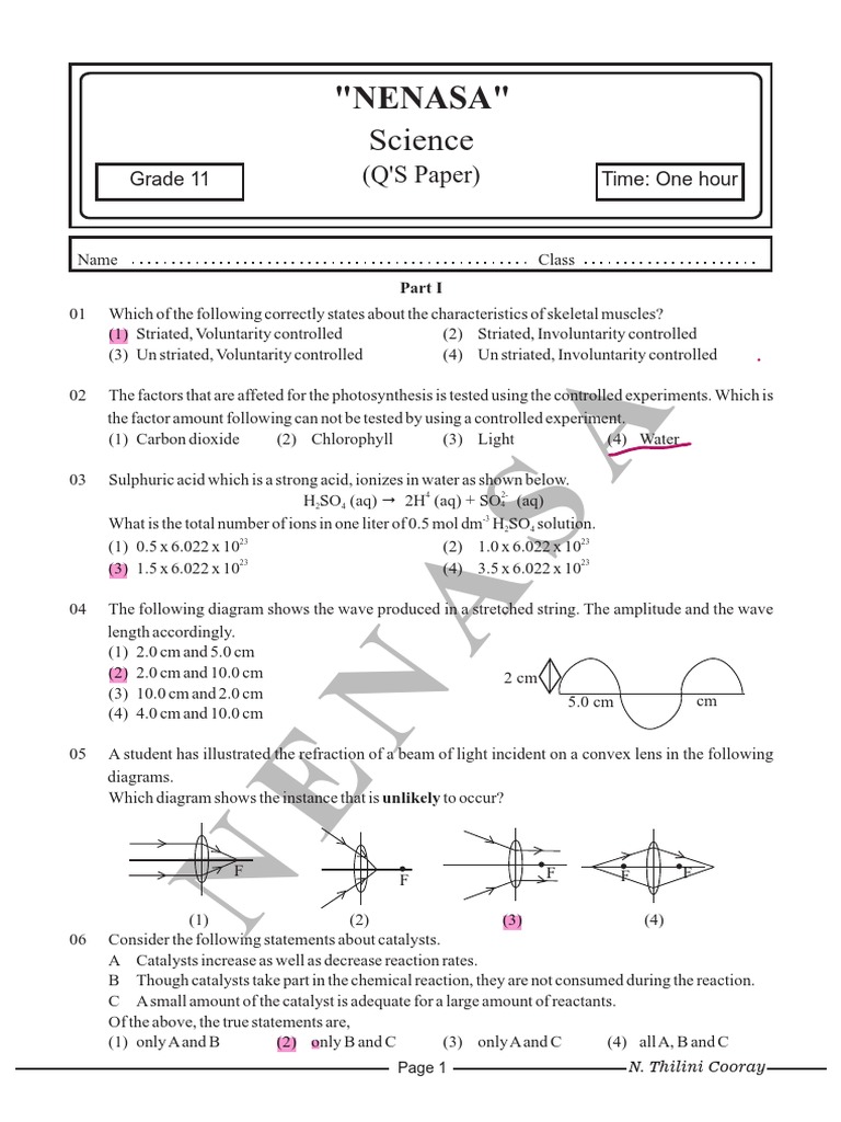 Science Paper 3 | PDF | Chemical Elements | Velocity