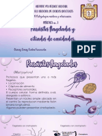 CGEF Práctica5 Flagelados 7QM2 PDF