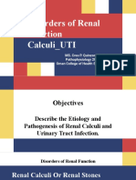 Disorders of Renal Function Calculi - UTI