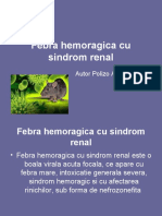 Febra Hemoragica Cu Sindrom Renal