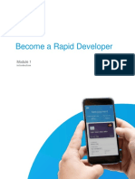 Rapid Developer - Module 1