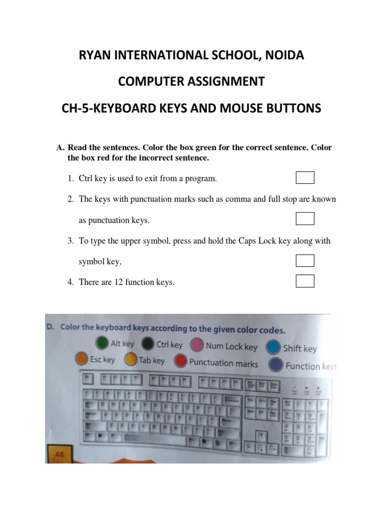 Ryan International School, Noida Computer Assignment Ch-5-Keyboard Keys ...