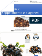 Andrea Baucon, Corso Di Paleontologia - Lezione 3 - Tafonomia 2 (Seppellimento e Diagenesi)