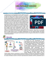 La Infección Por El Virus Del Papiloma Humano PDF
