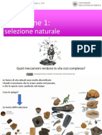 Andrea Baucon, Corso Di Paleontologia - Lezione 10 - Evoluzione 1 (Selezione Naturale)