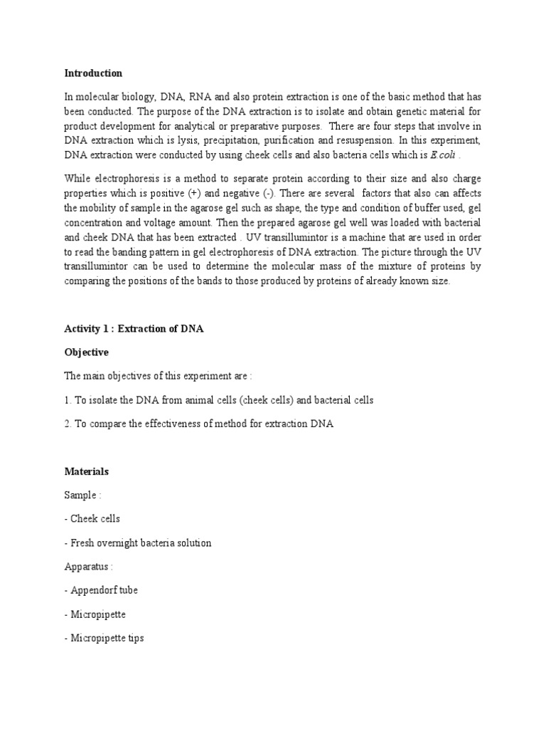DNA Extraction and Gel Electrophoresis | PDF | Gel Electrophoresis ...
