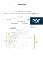 Molecular Biology: Full Essay # 03