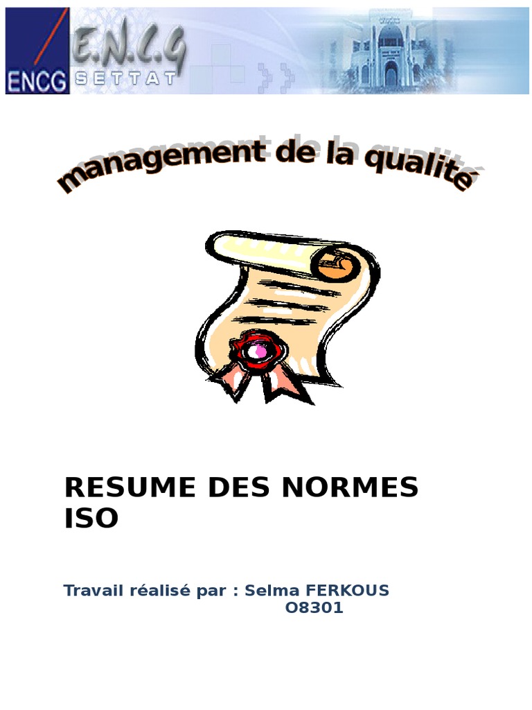 Iso PDF | PDF | Système de management de la qualité | Audit