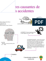 Factores Causantes de Los Accidentes