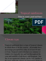 Tropical Rainforests: Done by Maria Pearl and Bansi