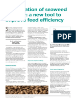 Combination of Seaweed and Clay: A New Tool To Improve Feed Efficiency