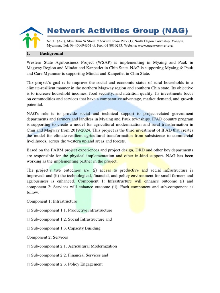 Network Activities Group (NAG) 1. Background PDF Community