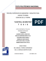 Control de Brotes PDF