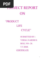 Project Report ON: "Product Life Cycle"