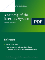 Anatomy of The Nervous System: Alabama Brain Bee