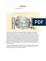 Tarea 3