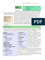 derrame pleural