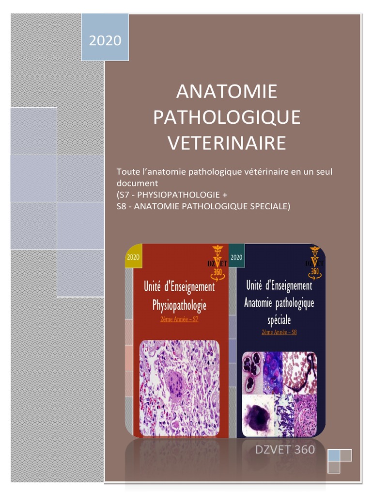 Anatomie Pathologique Veterinaire Combinaison Dzvet360 Cours Veterinaires Pdf Apoptose Cellule Biologie