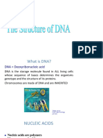 Dna Structure PDF