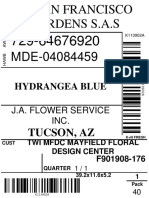 Tucson, Az: Hydrangea Blue