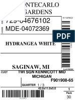 Saginaw, Mi: Hydrangea White