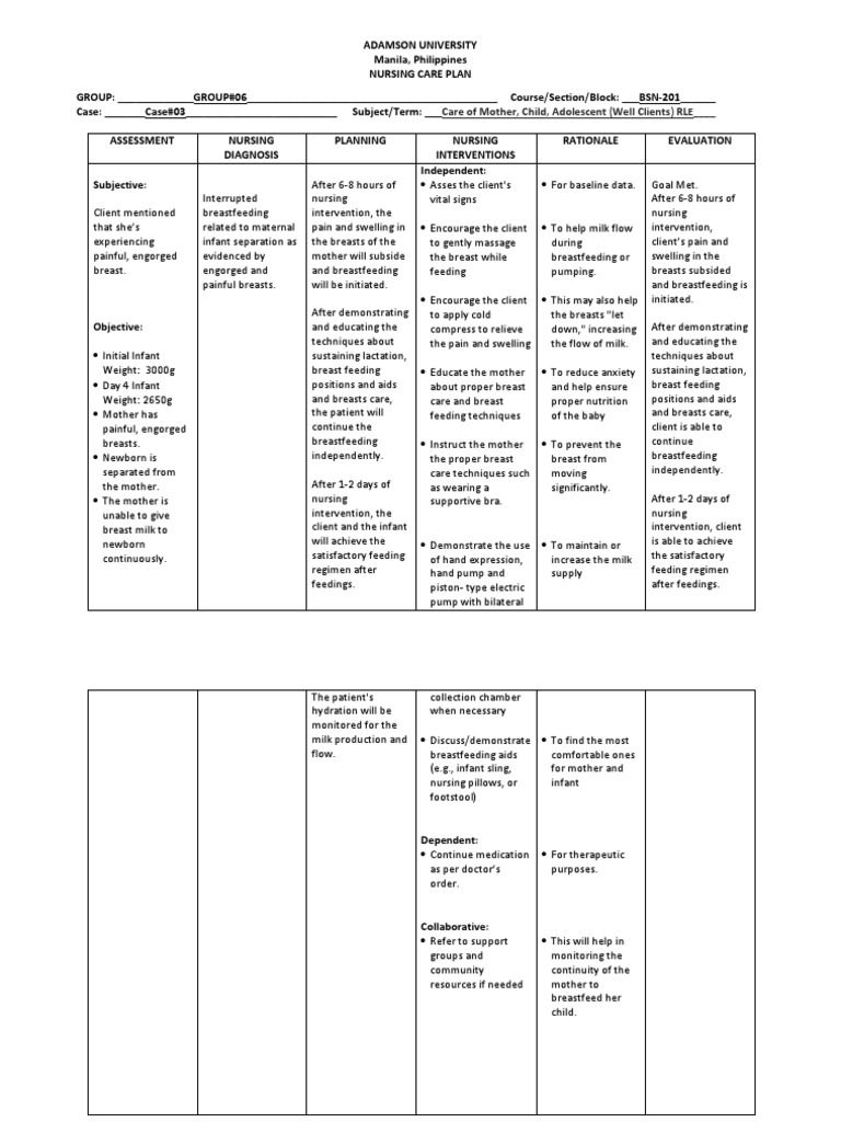 Nursing Care Plan for Interrupted Breastfeeding PDF Breastfeeding