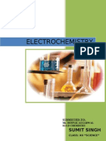 Electrochemical Cells