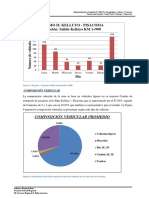 Composicion Vehicular