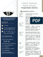 Peluca 21 PDF