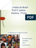 Os Índios Do Brasil 7 Ano