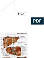 Abcese Hepatice, Tumori Hepatice Benigne, Maligne, Ciroza